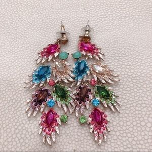 Multi-Colored Feather Earrings